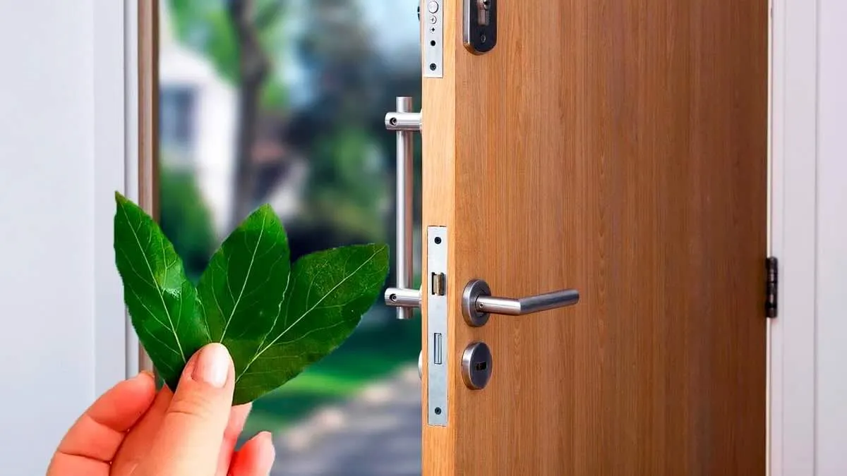 Laurel: a timeless welcome at your doorstep